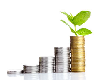 Wealth Management